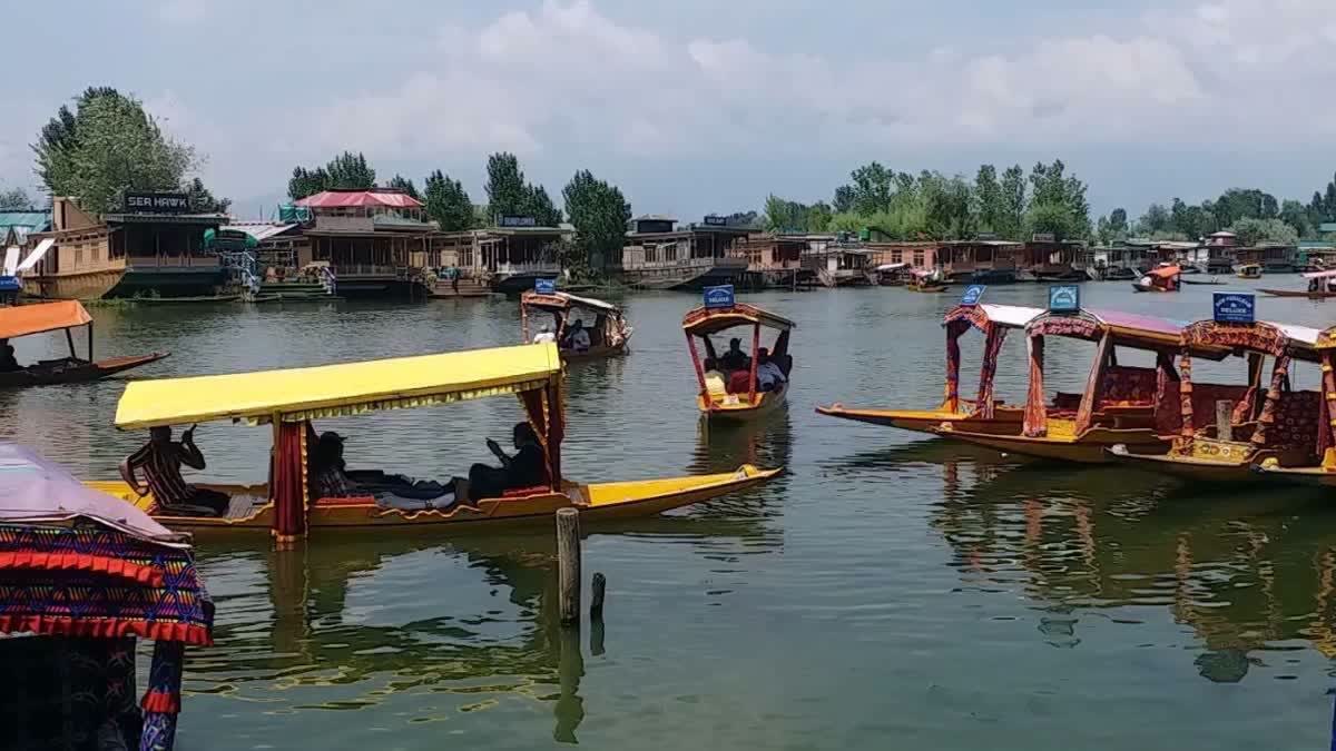 سری نگر کی ڈل جھیل پر تیرتے شکارا کی فائل فوٹو