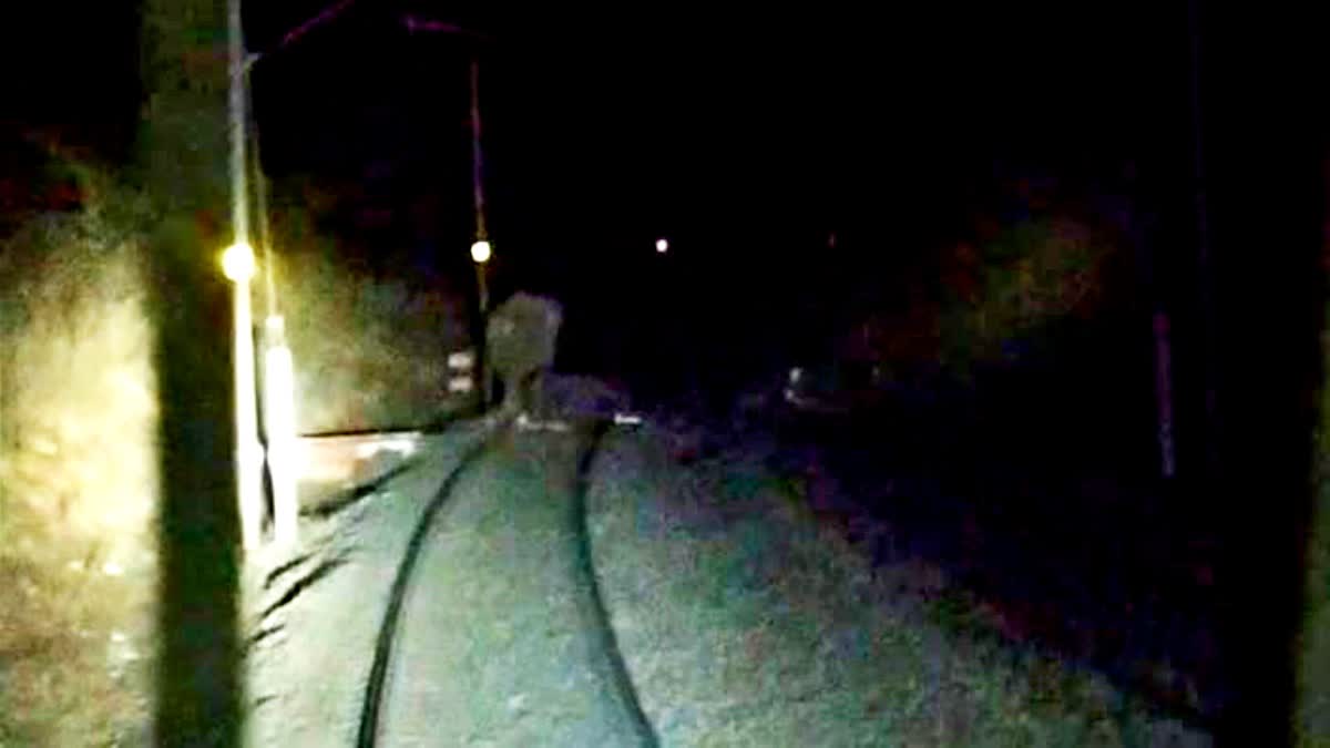 Elephant accident