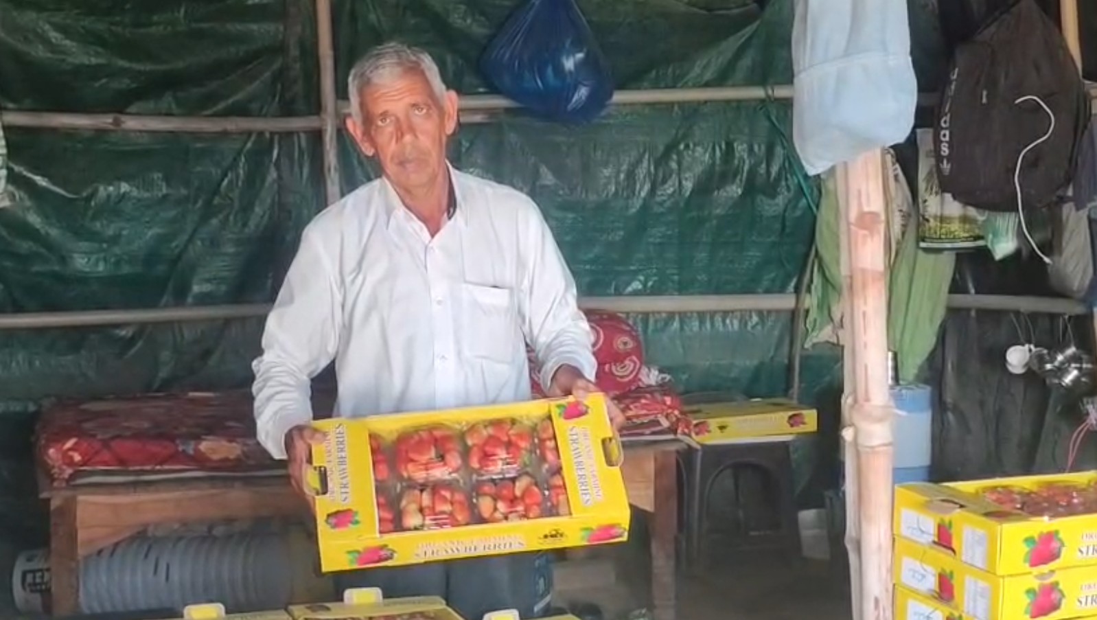 STRAWBERRY FARMING IN BHIWANI