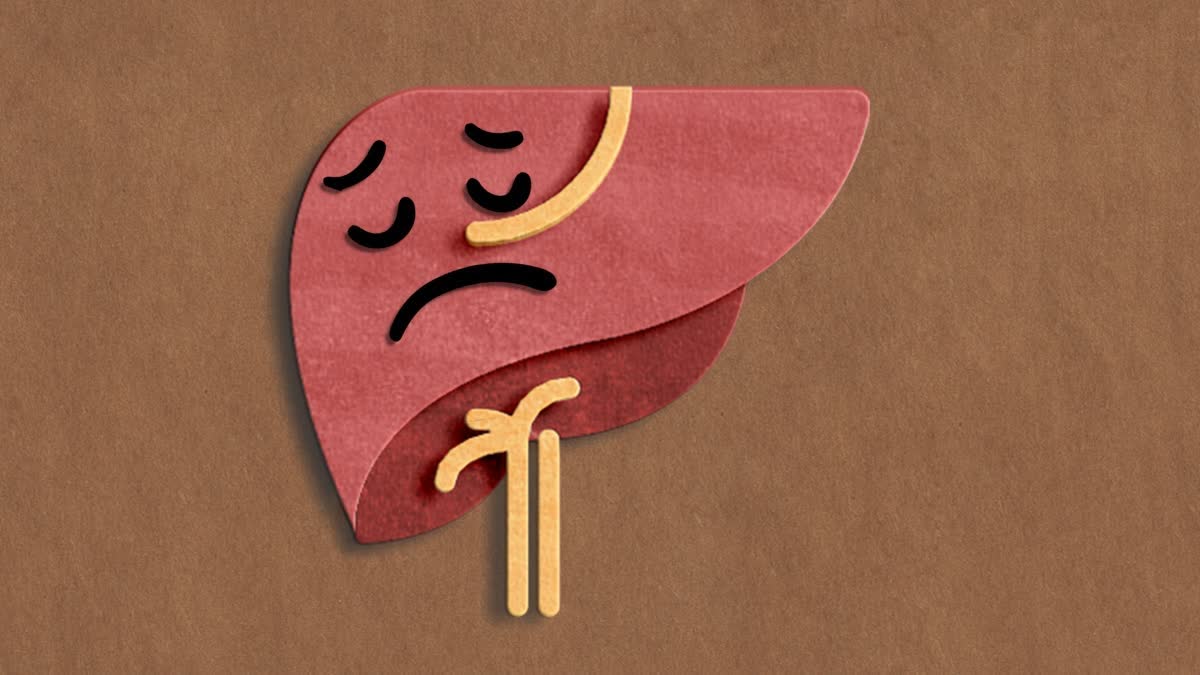 SYMPTOMS OF LIVER DAMAGE  CAUSES OF LIVER DAMAGED  WARNING SIGNS OF LIVER DAMAGED