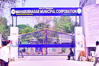 MAYOR AND CHAIRMAN ELECTION