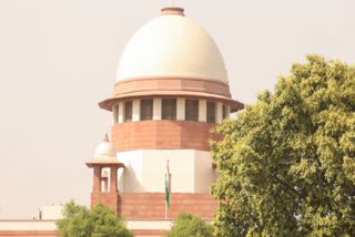 ‘We Are Old Fashioned…’, SC On Physical Relations Before Marriage