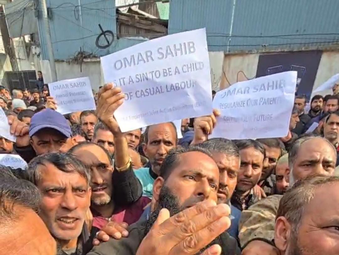 Daily Wage Workers Hit Streets In Kashmir Demanding Job Regularisation