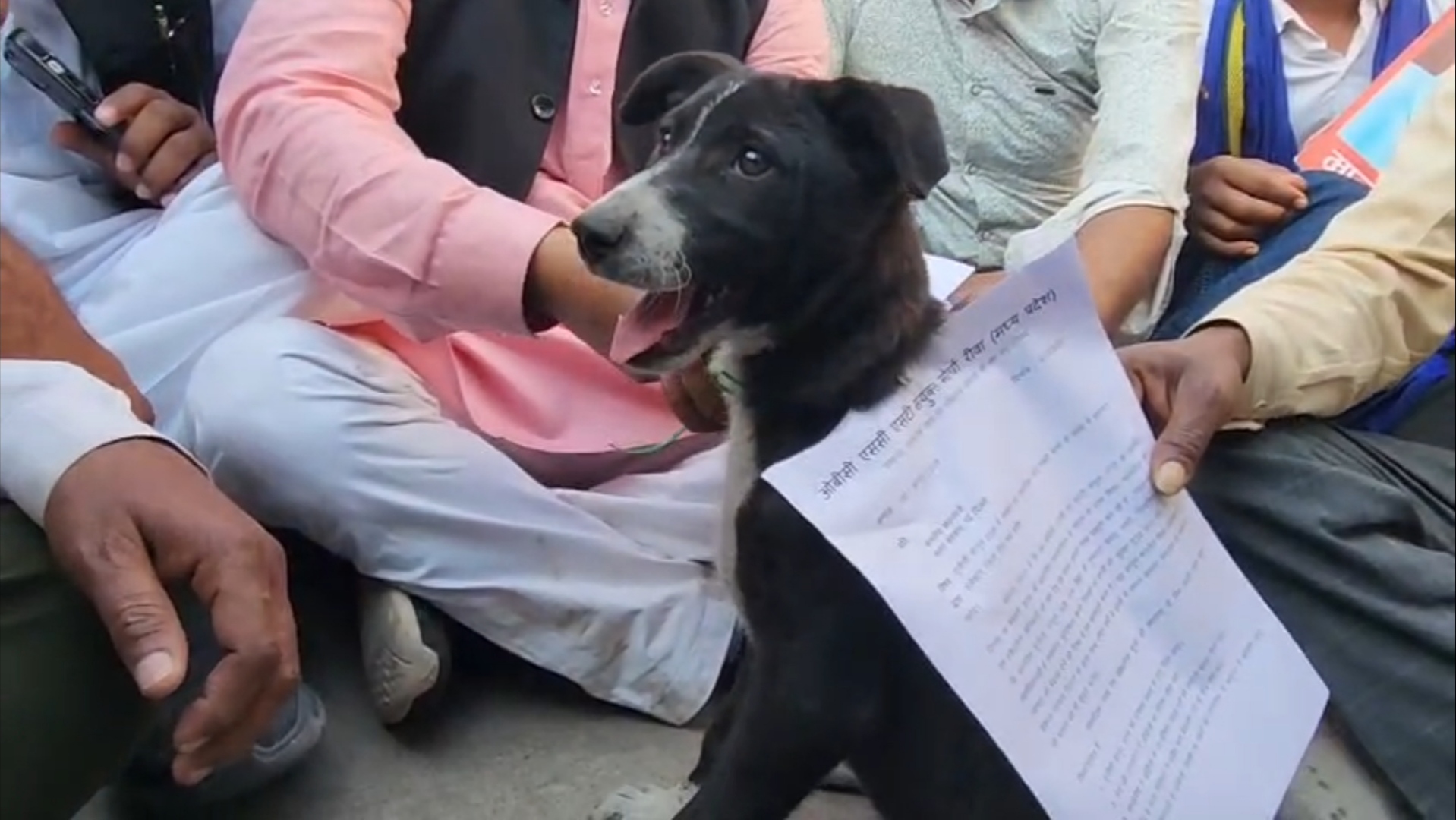 Rewa OBC SC ST protest