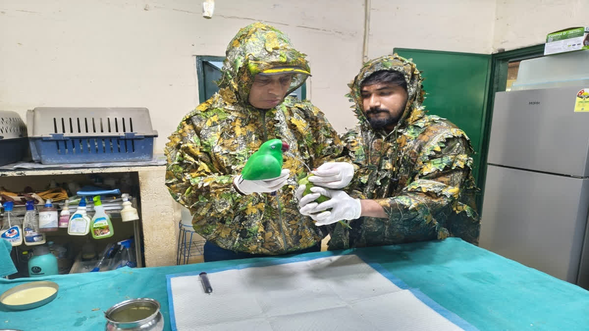 Bengaluru witnessed an unusual collaboration between wildlife rescuers and engineering students when a 3D-printed feeding device helped save 46 orphaned parakeet chicks.