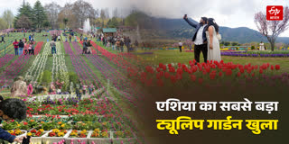 एशिया का सबसे बड़ा ट्यूलिप गार्डन