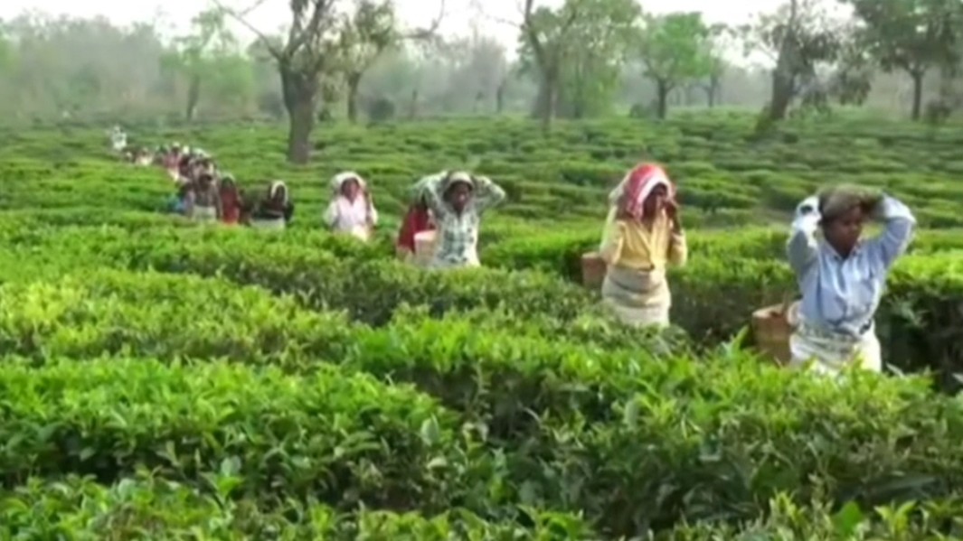 Assam Assembly Elections 2026