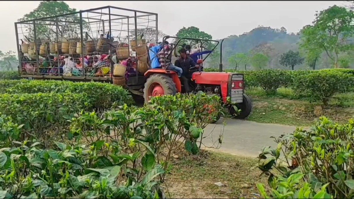 Assam Assembly Elections 2026