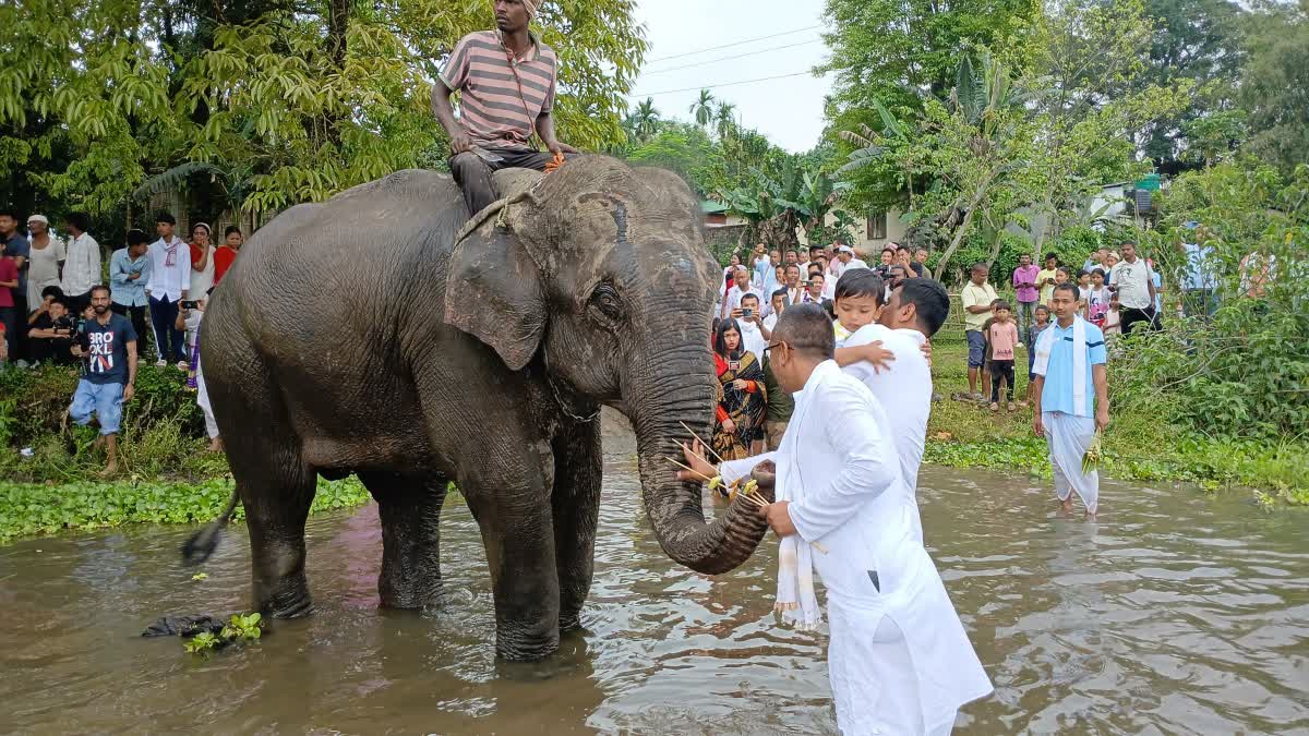 Moran Bihu