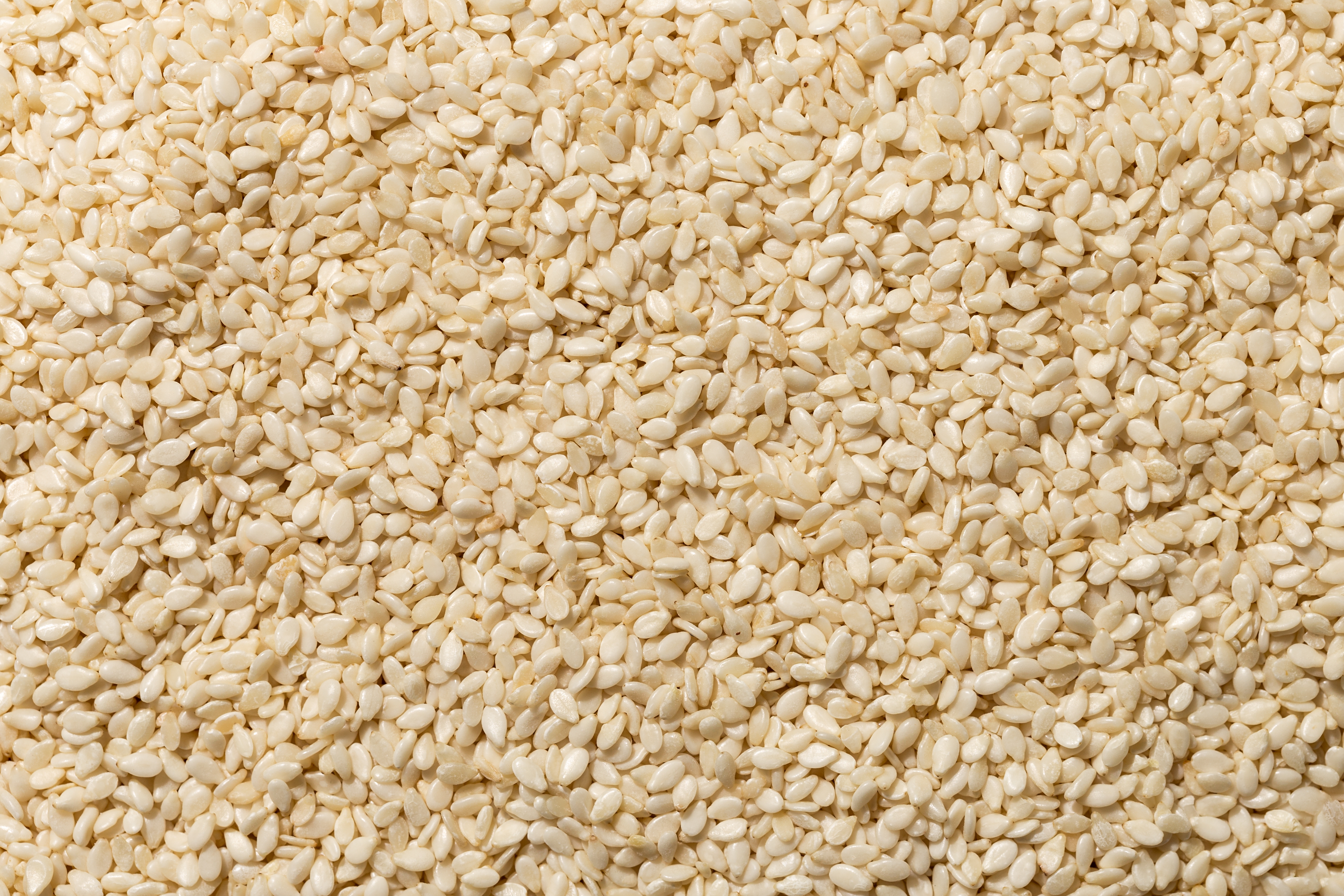 Tomato Kothimeera Chutney