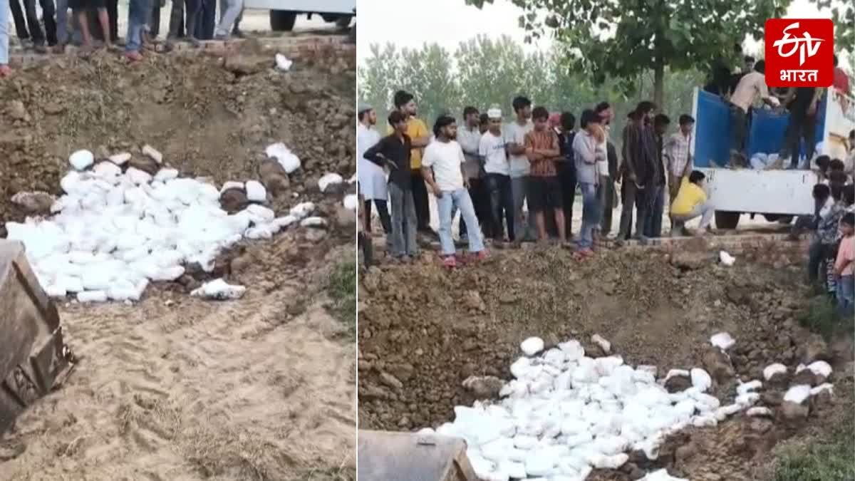 28 quintals of chemical-laced cheese recovered, buried in the ground.