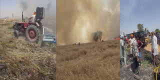 TARN TARN FIRE IN FIELD