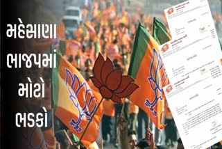 મહેસાણા ભાજપમાં મોટો ભડકો: પક્ષ વિરોધી કામગીરી કરનારા જિલ્લા પંચાયતના પૂર્વ પ્રમુખ સહિત 6 નેતાઓ સસ્પેન્ડ