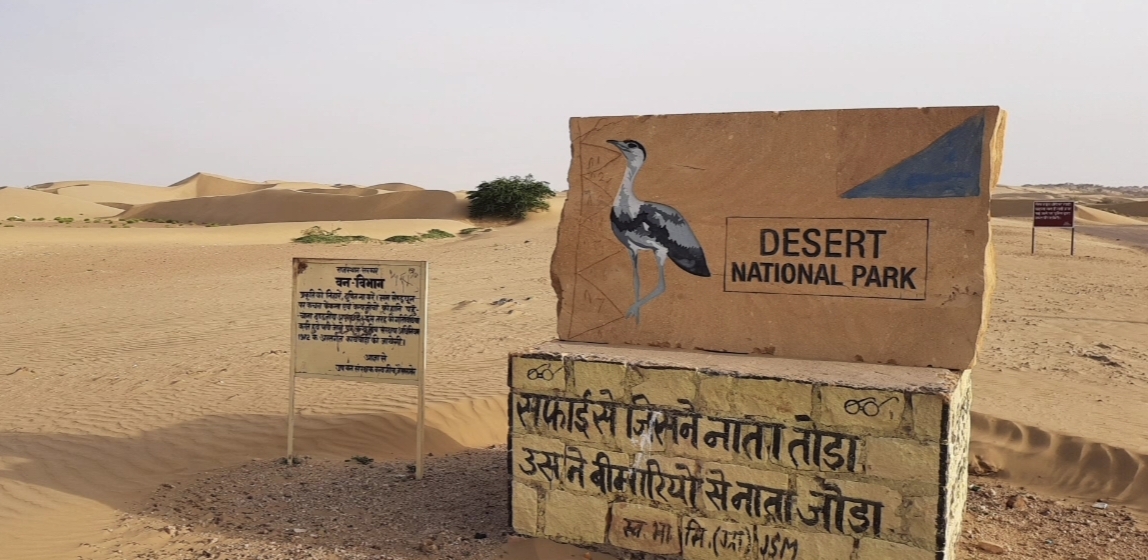 New Spider Species Mogrus Shushka Discovered In Rajasthan's Desert National Park