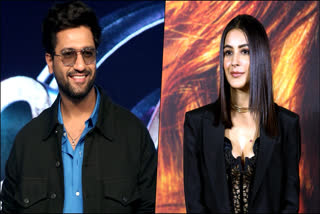 Shehnaaz Gill Extends Heartfelt Wishes To Birthday Boy Vicky Kaushal On Instagram; CHECK POST Shehnaaz Gill Shares Adorable Birthday Pic for Vicky Kaushal on Instagram - See Inside