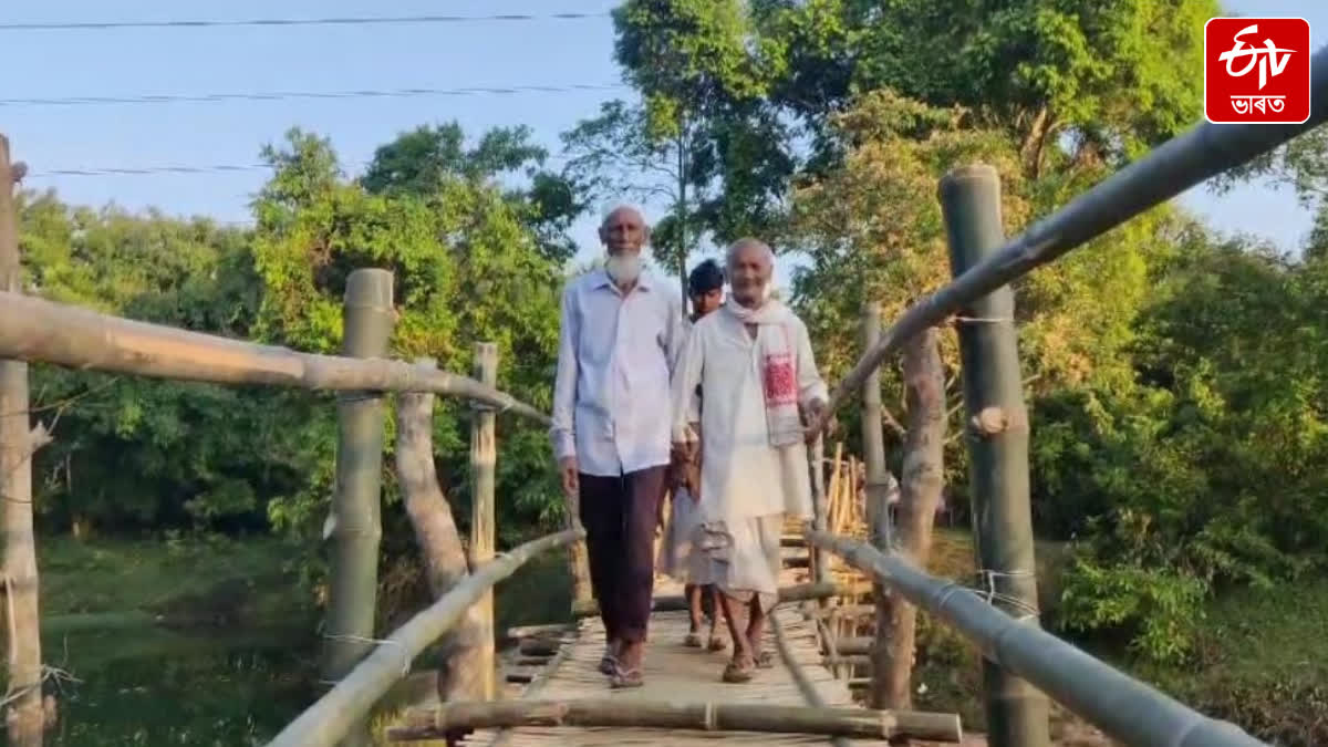 Local people constructed bamboo bridge at Namti in Sivsagar