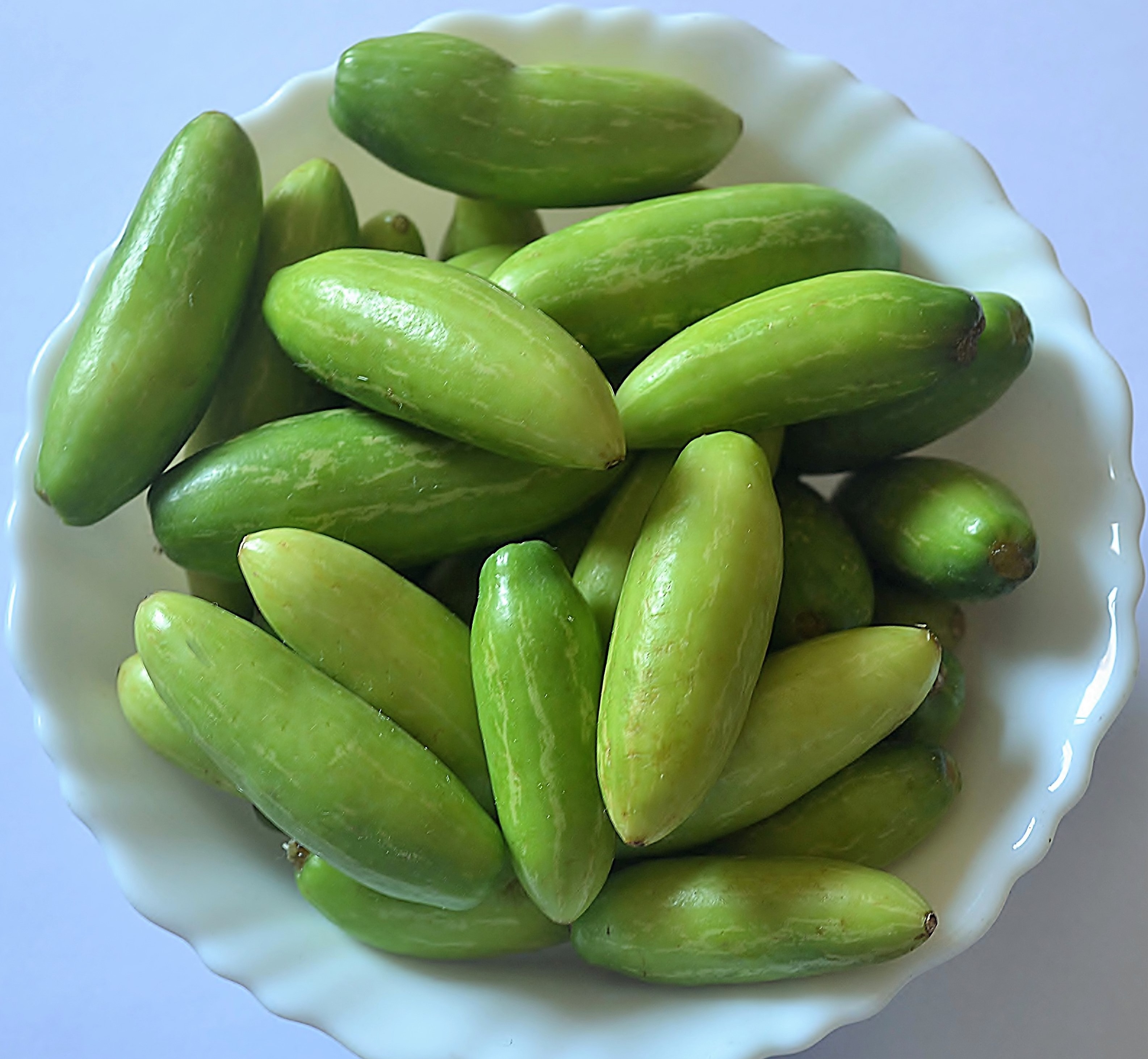 దొండకాయలు