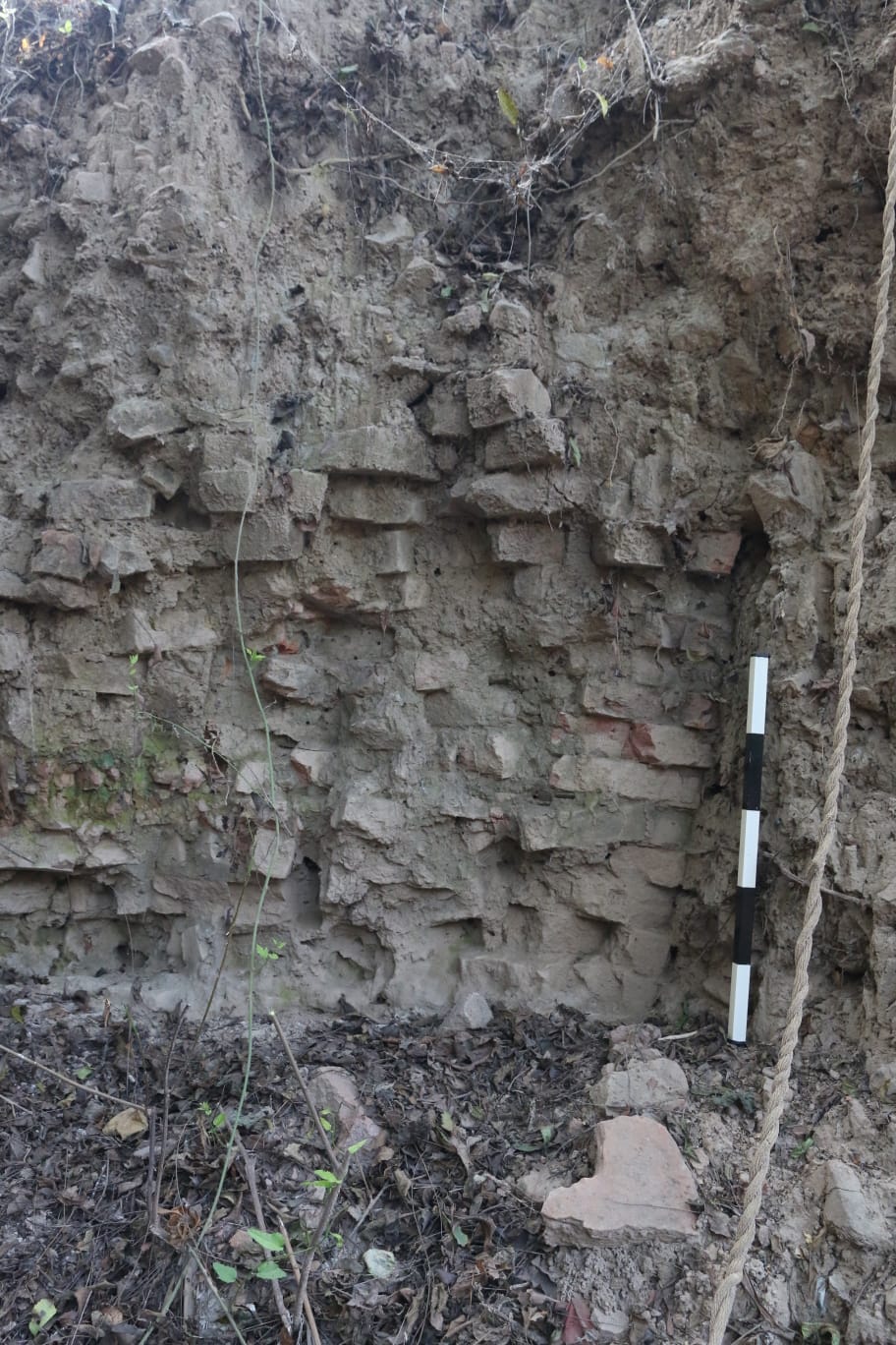 1200-Year-Old Buddhist Monastery Remains Unearthed In Bihar's Gaya; Archaeologists Discover Rare Artefacts
