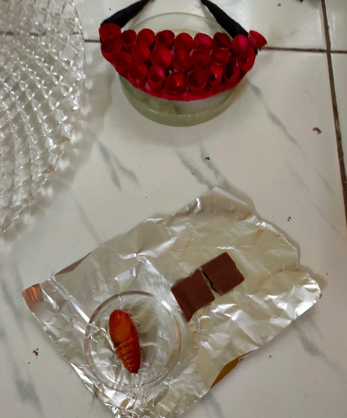 jewelry from silk cocoons