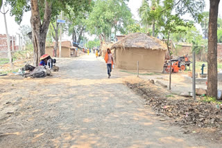 BIHAR VEGETARIAN VILLAGE