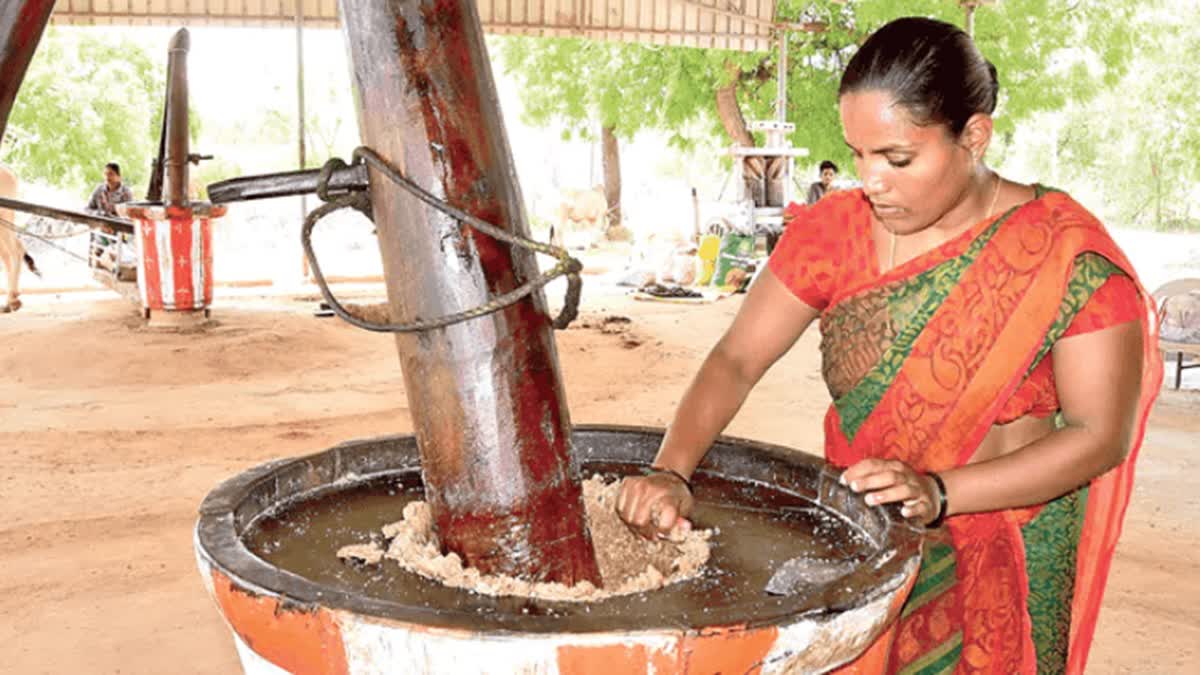 Unlike machine-based oil mills, Jyoti chose the traditional path, wooden Ganugas powered by bullocks.