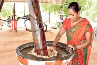 Unlike machine-based oil mills, Jyoti chose the traditional path, wooden Ganugas powered by bullocks.