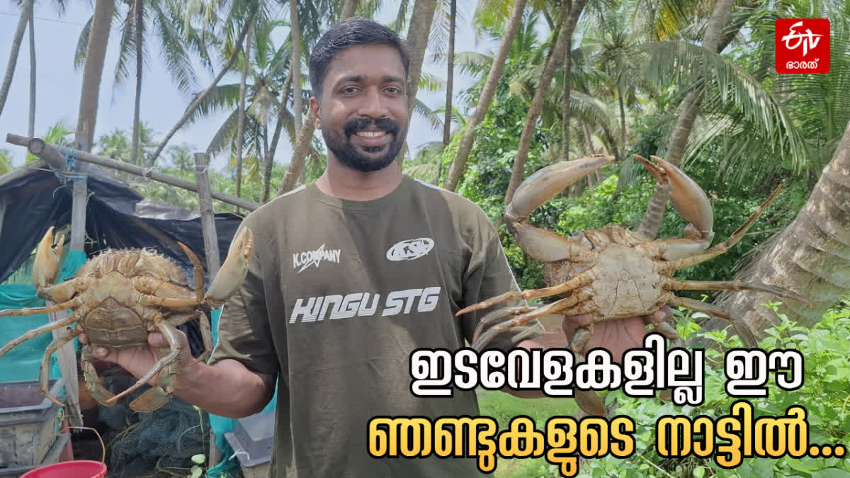 CRAB CULTIVATION  mud CRAB  KASARGOD CRAB CULTIVATION  IMPORTANCE OF CRAB