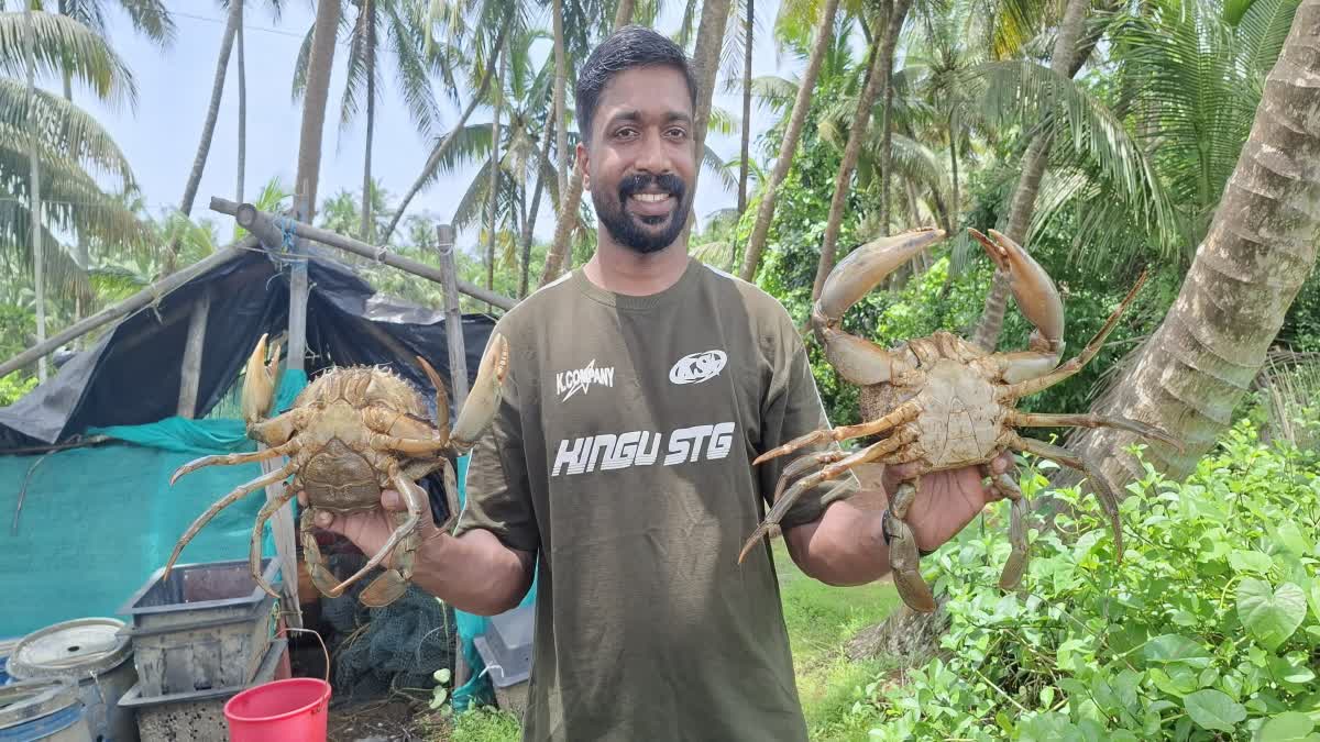 Kerala Farmer Shibin Earns Lakhs Through Scientific Green Crab Farming