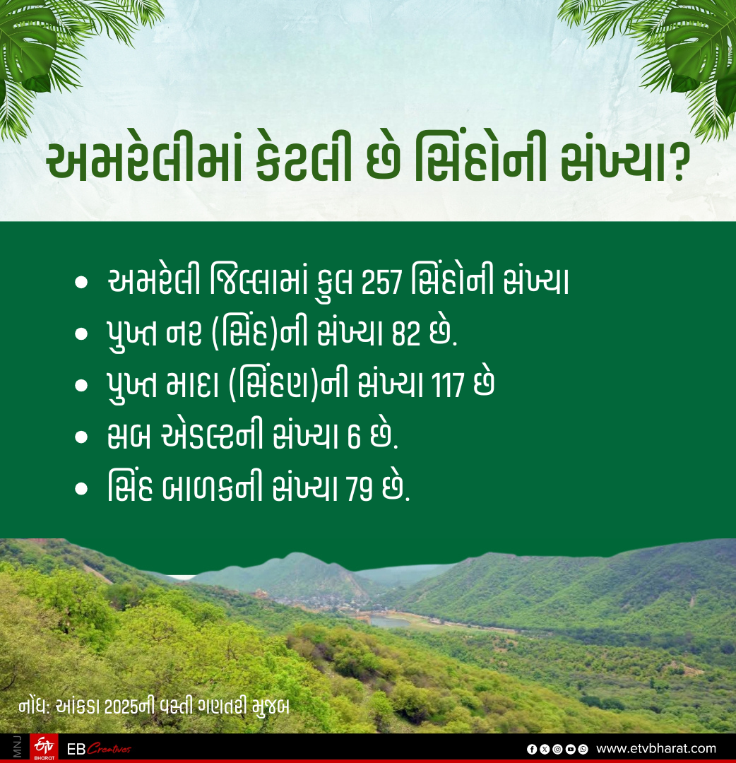 અમરેલીમાં સિંહોની સંખ્યા