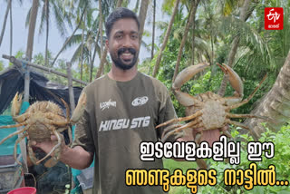CRAB CULTIVATION  mud CRAB  KASARGOD CRAB CULTIVATION  IMPORTANCE OF CRAB