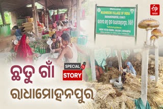 Mushroom village Radhamohanpur