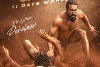 Peddi Box Office Collection Day 13
