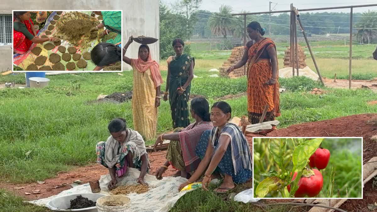 Jaivik Didis preparing natural pesticides, and (inset, from L) organic fertilisers, fruits of their labour