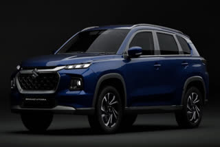 Raipur Consumer Commission Orders Maruti Suzuki To Replace E20 Petrol Damaged Car
