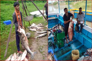 मत्स्य आखेट प्रतिबंध हटते ही मछुआरों ने पकड़ी मछली