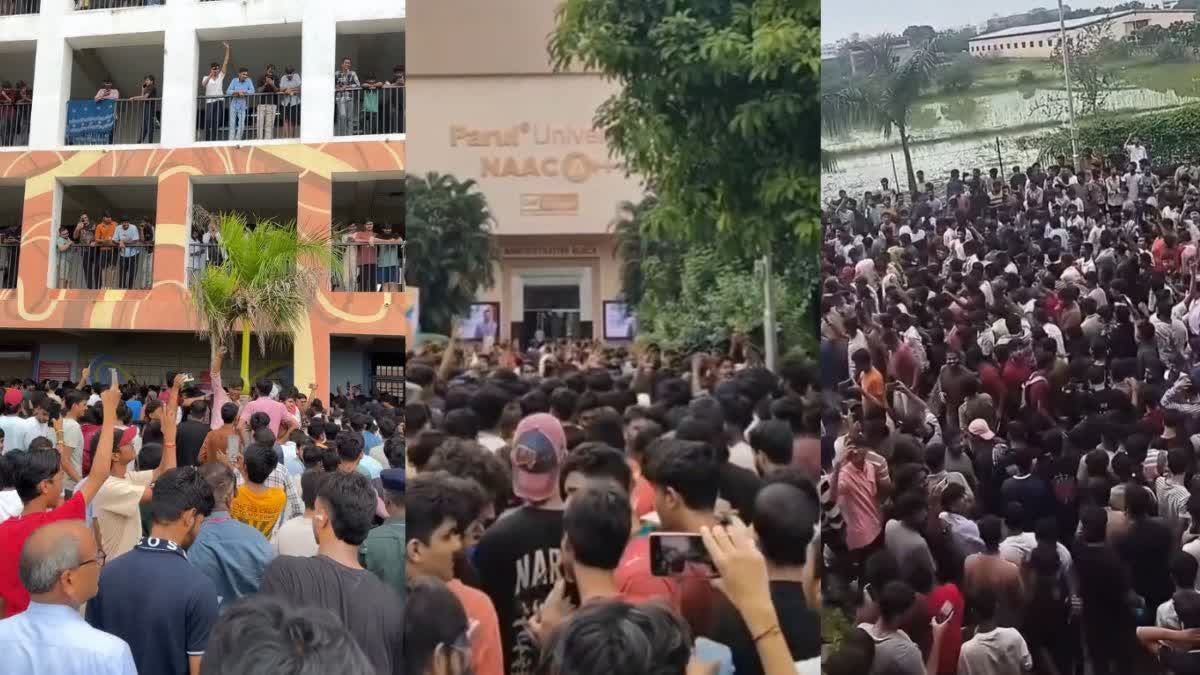 ધ્વજવંદન બાદ મોટી સંખ્યામાં વિદ્યાર્થીઓ પારુલ કેમ્પસમાં એકઠા થયા અને “We Want Justice”ના નારા લગાવ્યા હતા