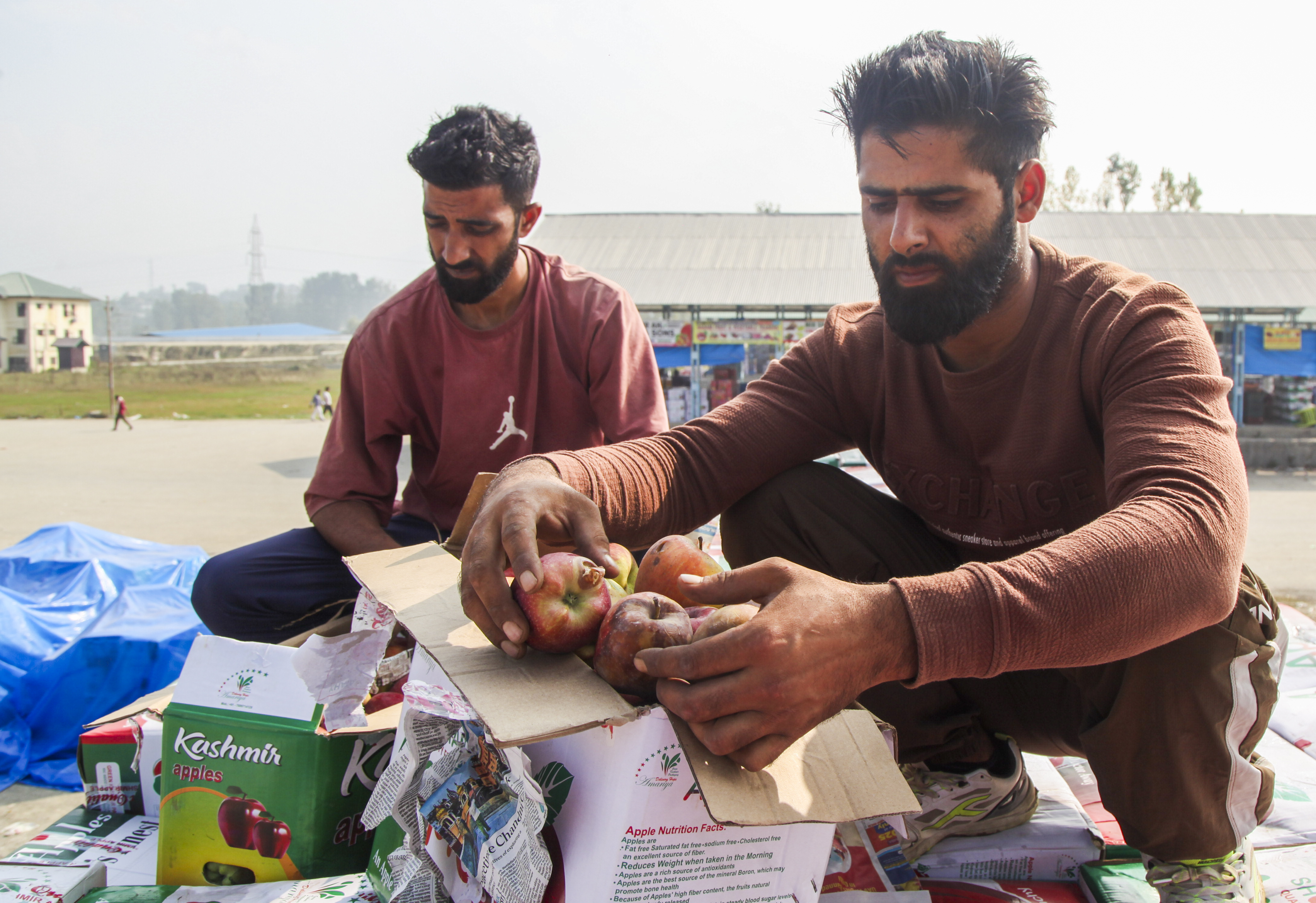 Growers show rotten apples amid closure of Jammu-Srinagar highway