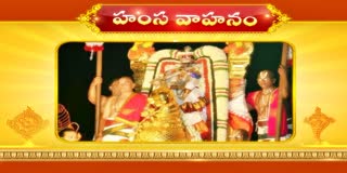 Tirumala Salakatla Brahmotsavam Live