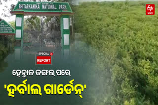 KENDRAPARA HERBAL GARDEN