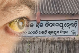 JAUNDICE OUTBREAK RAYAGADA