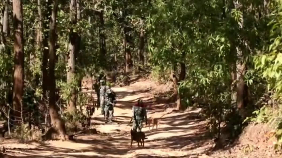 Saranda Battle: Security Forces Surround 65 Naxalites; Jharkhand-Odisha Border Blocked To Seal Escape Route Saranda Battle: Security Forces Surround 65 Naxalites; Jharkhand-Odisha Border Blocked To Seal Escape Route