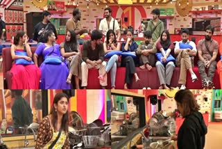 Bigg Boss 9 Telugu Day 38 Episode