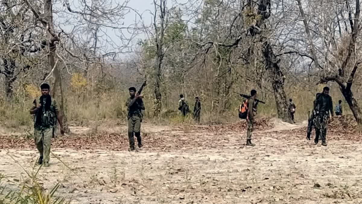 Chhattisgarh: 5 Naxalites Killed in Kanker Encounter; Bodies Recovered At least five Naxalites have been killed in an encounter with security forces in the Kanker district.