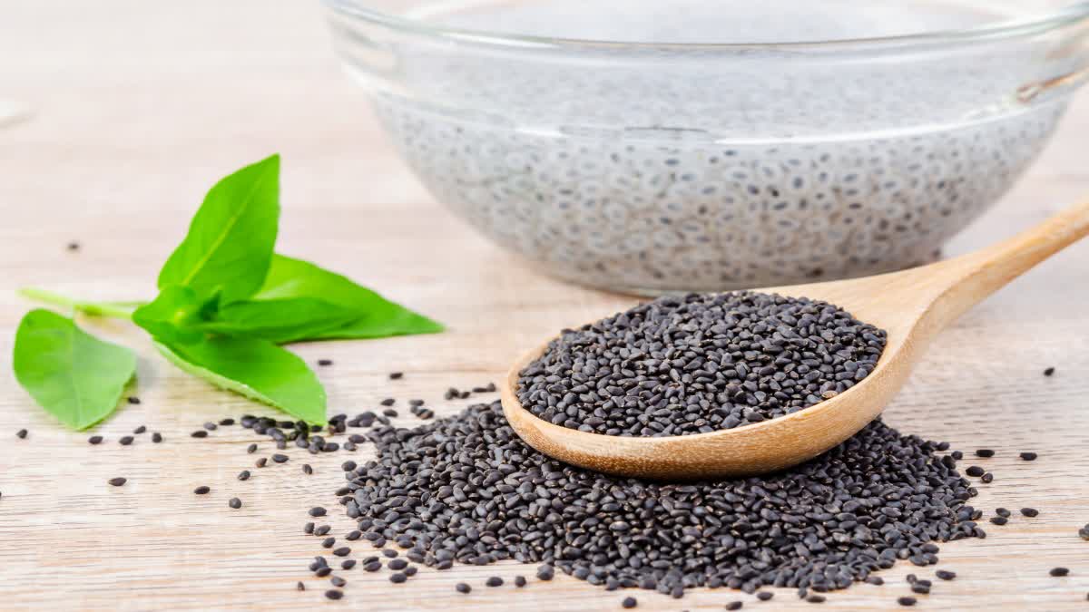 Sabja Seeds