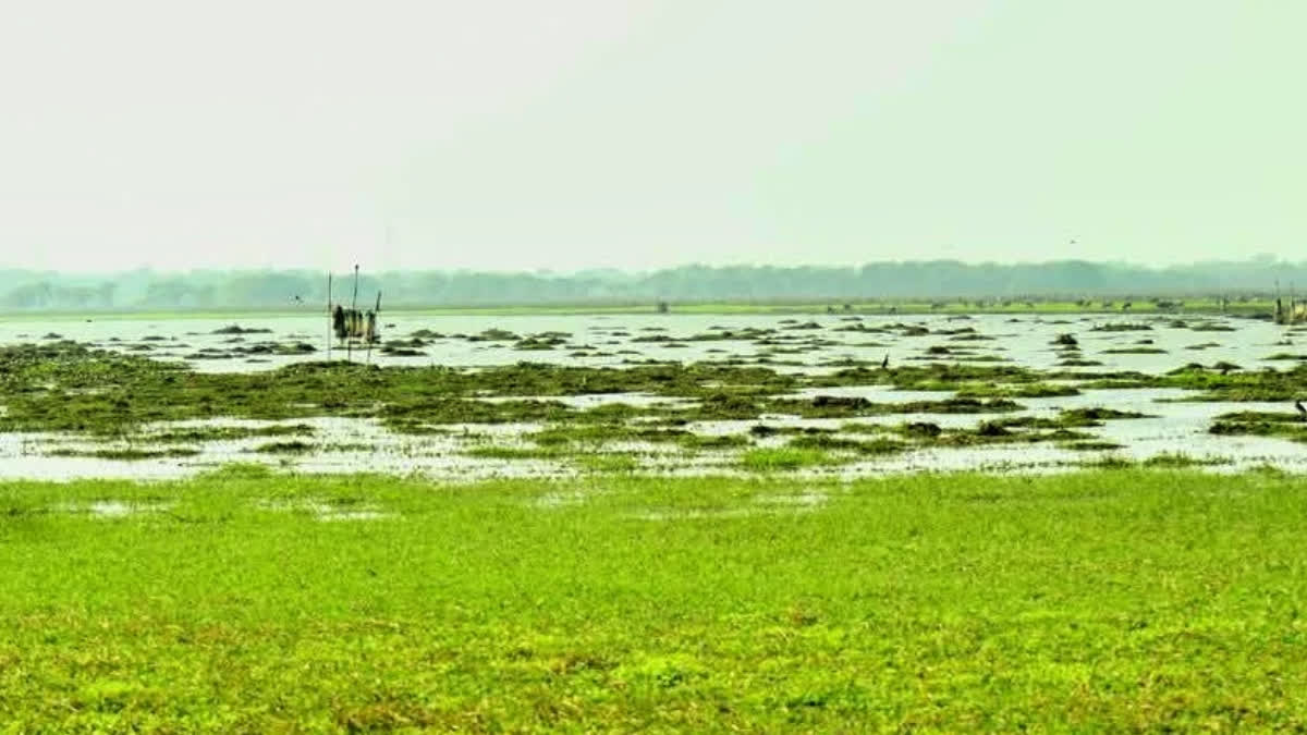 Historic Dorabeel in South Kamrup ( file photo )