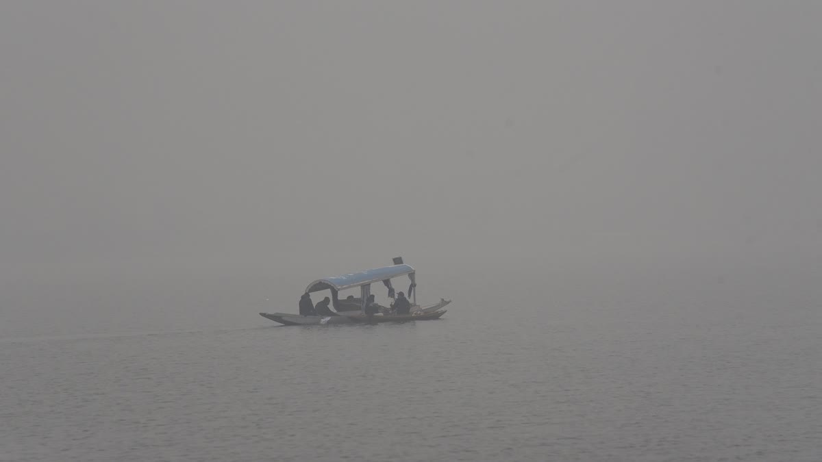 ETV Bharat News - Politics - News Image