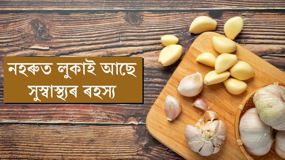 GARLIC HEALTH BENEFITS