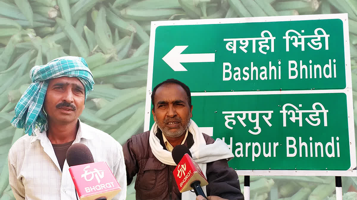 Story Of Bhindi Village In Bihar