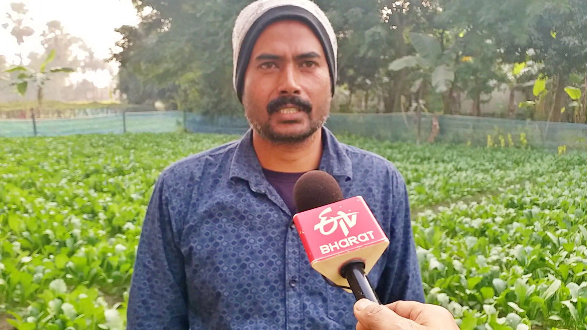 Story Of Bhindi Village In Bihar