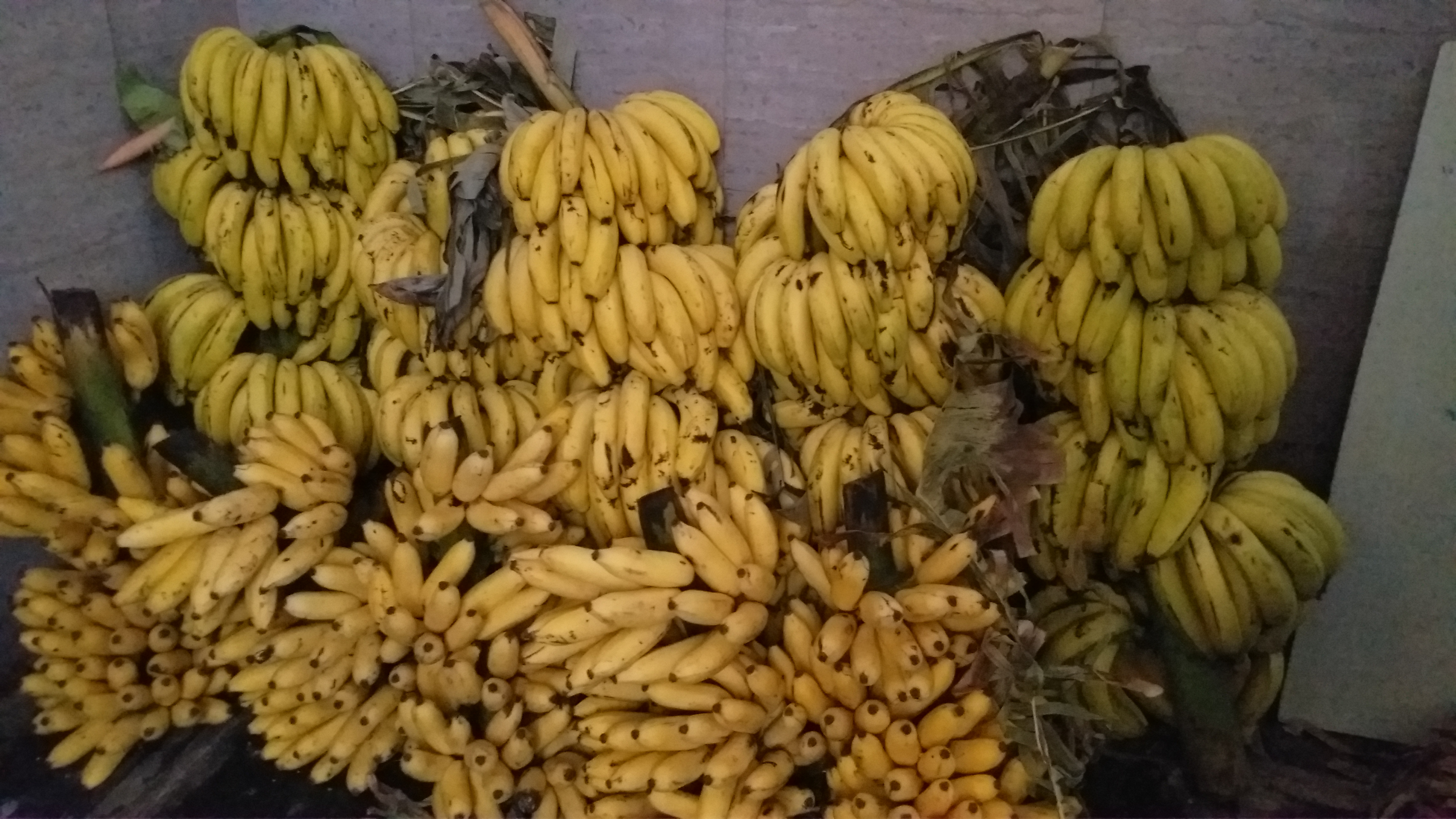 Providing eggs and bananas to children throughout the week is a challenging task for teachers